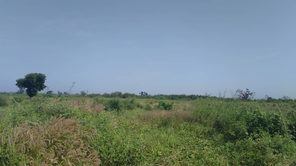 Terrain-4000-metres-carres-a-Somone-6