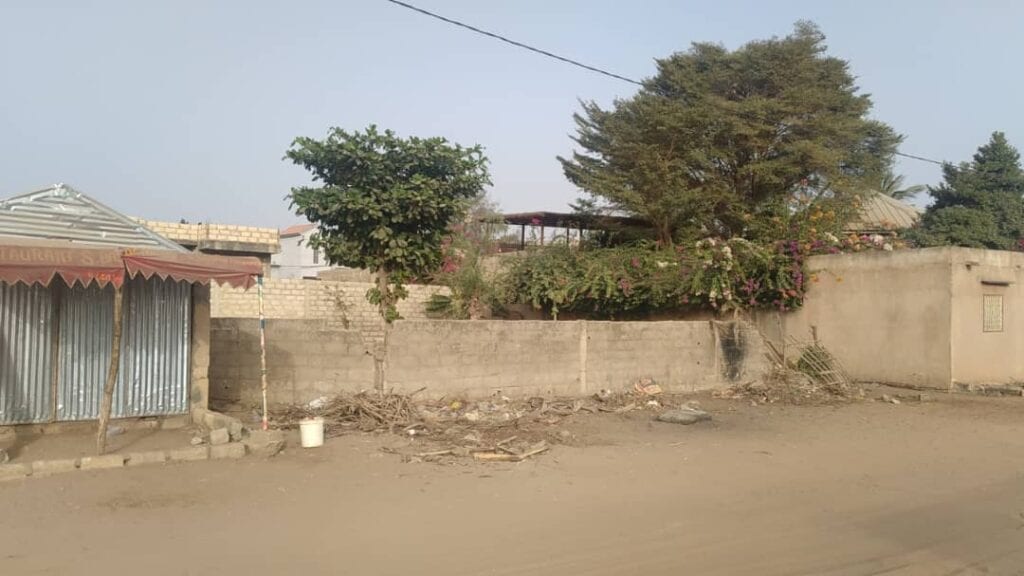 Terrain-500-metres-carres-en-angle-a-Mbour-2