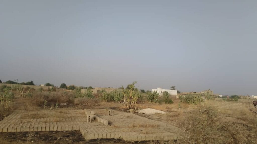 Terrain-600-metres-carres-a-Saly-Tape-extension-7