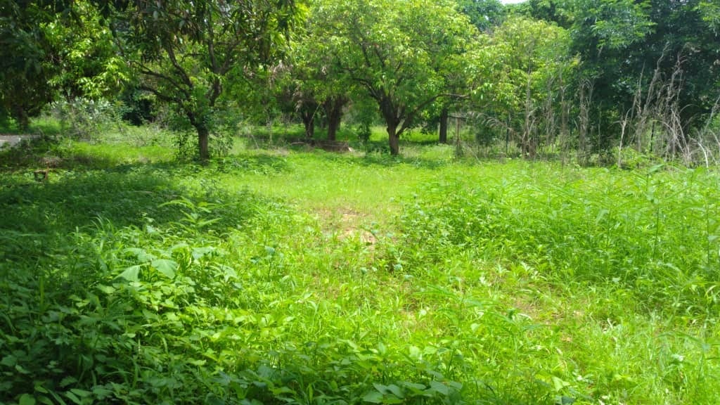 Terrain-8400-metres-carres-a-Ngaparou-Plage-3