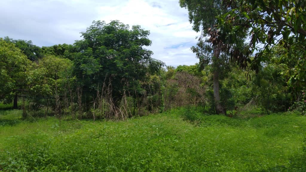 Terrain-8400-metres-carres-a-Ngaparou-Plage-5-1