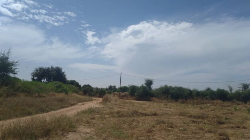 terrain-1-hectare-a-Nguerigne-Mbambara-4