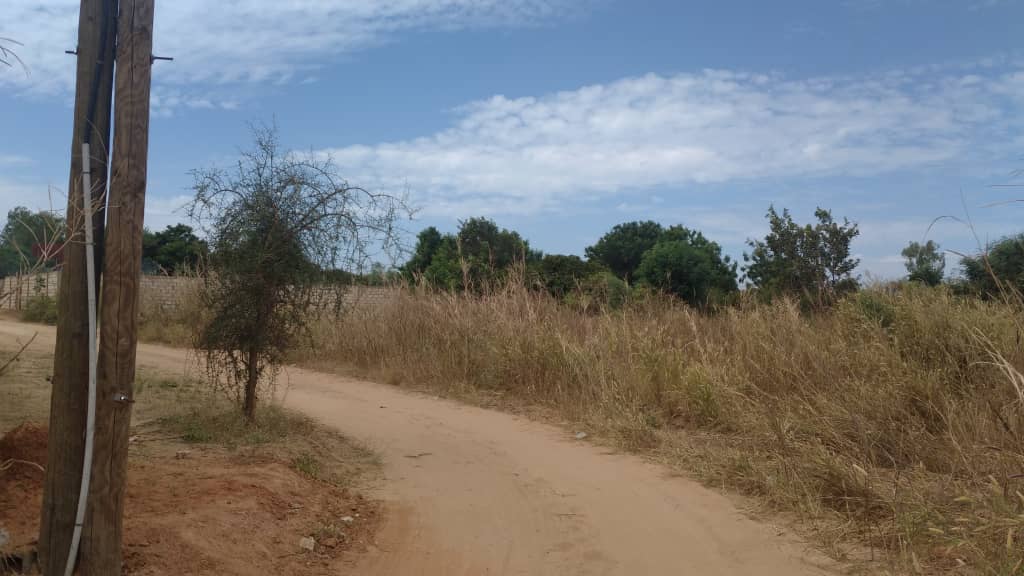 terrain-1200-metres-carre-a-nguerigne-2