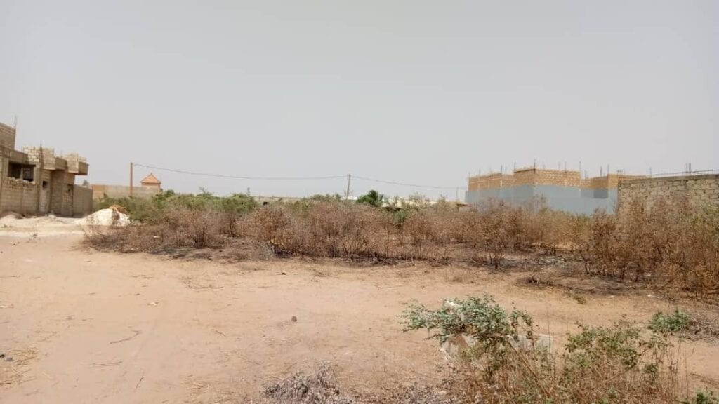 terrain-300-m²-en-angle-a-saly-diambar-5