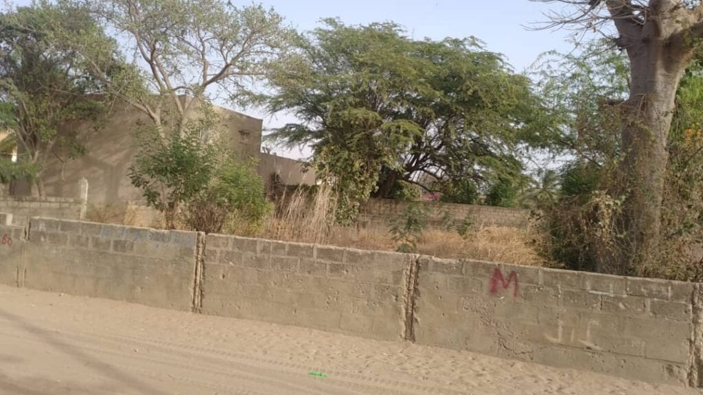 terrain-500-m²-a-saly-niakh-niakhal-2