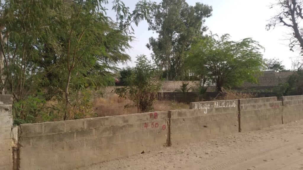 terrain-500-m²-a-saly-niakh-niakhal-3