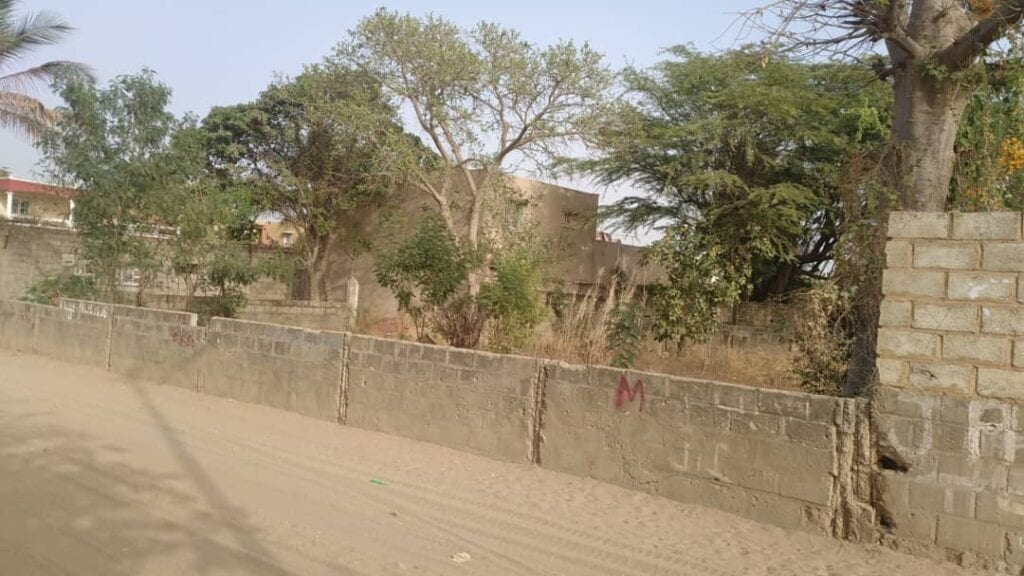 terrain-500-m²-a-saly-niakh-niakhal-5