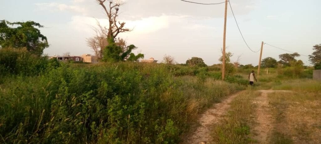 terrain-6500-m²-gandigal-3