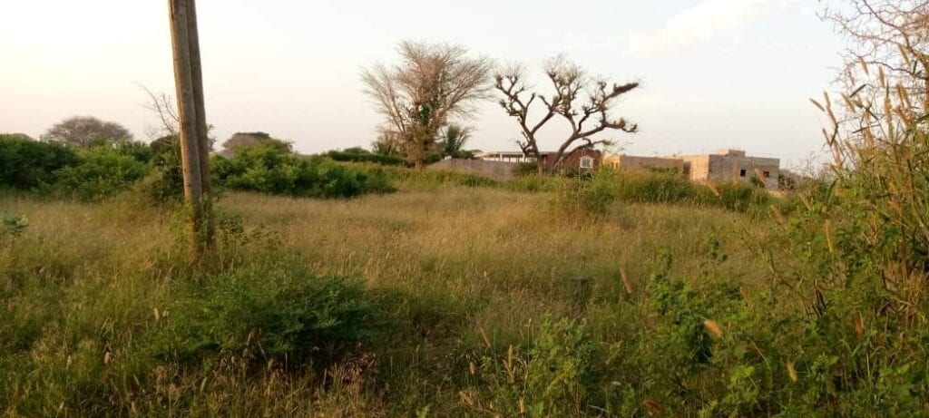 terrain-6500-m²-gandigal-5