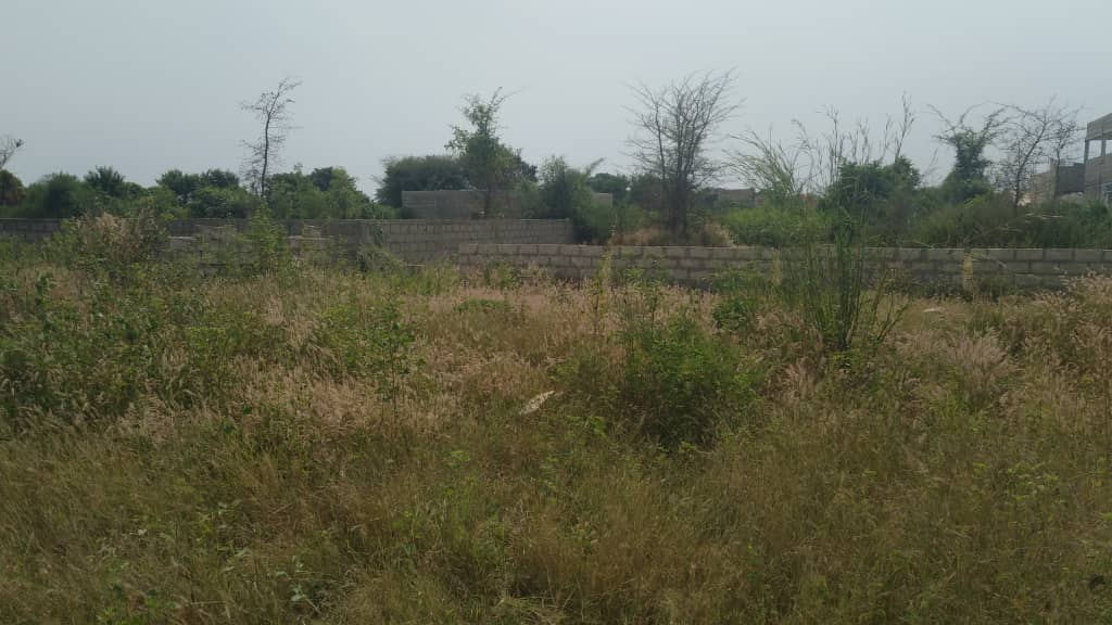 terrain-de-600-metres-carres-a-warang-2