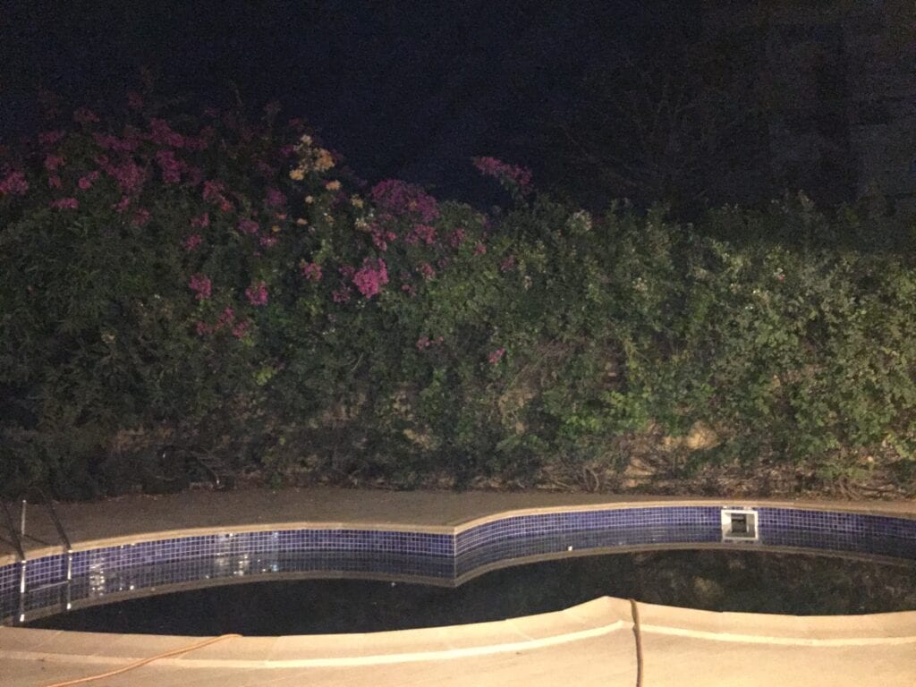 080BC340-95AA-423B-868C-A5FEE747B906