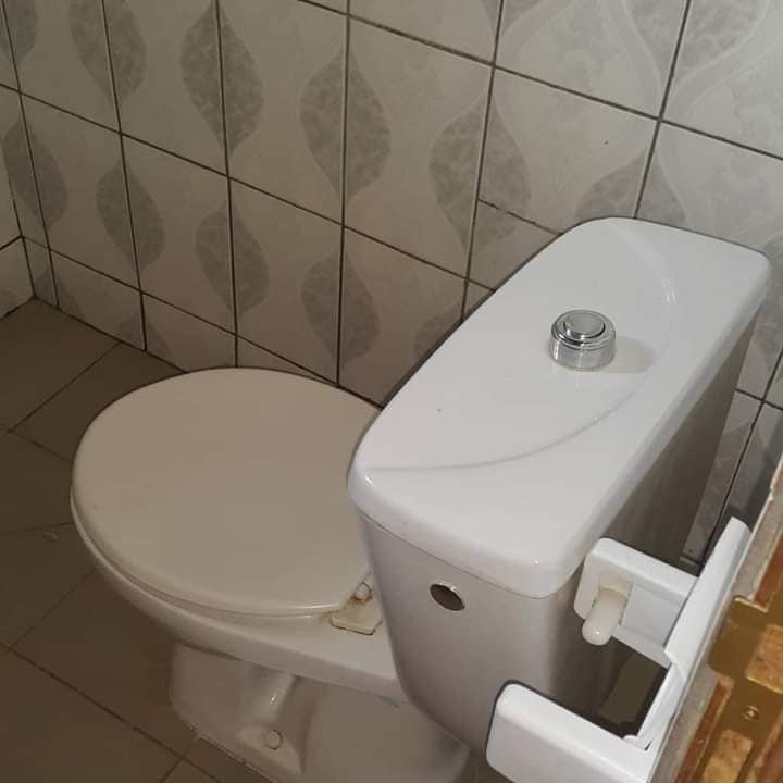 173577193_1624029094455237_4841426016633763156_n