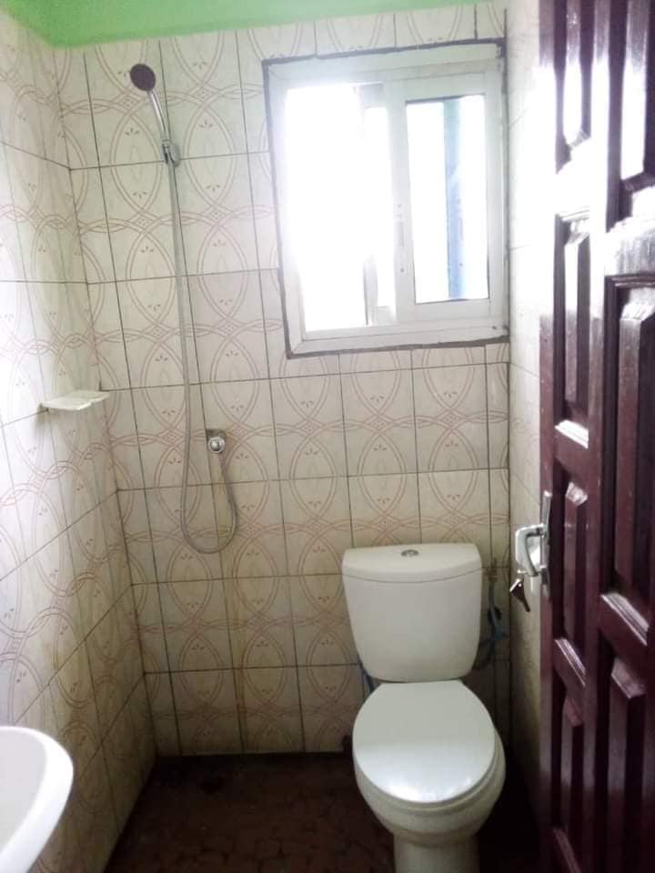 176371933_1628196187371861_4561603547355667667_n