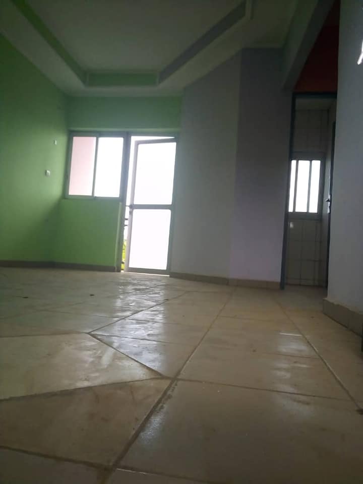 177333600_1628982527293227_7657448112231011754_n