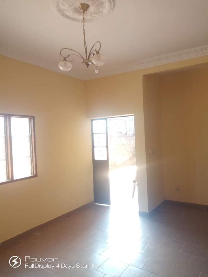 177357612_1629004090624404_3093430283170863495_n