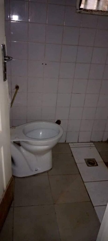 179642219_1633669293491217_926667941842403957_n