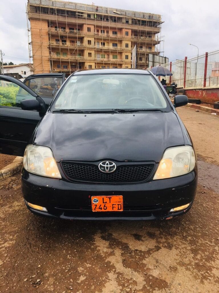 B2BF7052-2E84-4CBB-8C4D-52A8231A0B0F