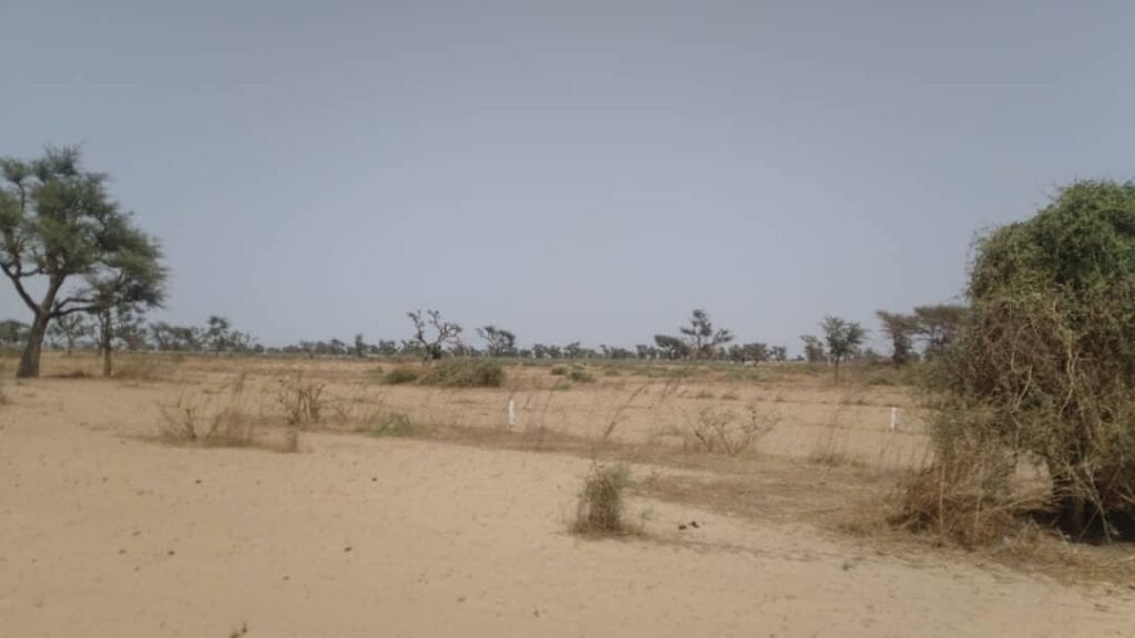 Terrain-300-Metres-Carre-A-Malicounda-Ngougoudj1