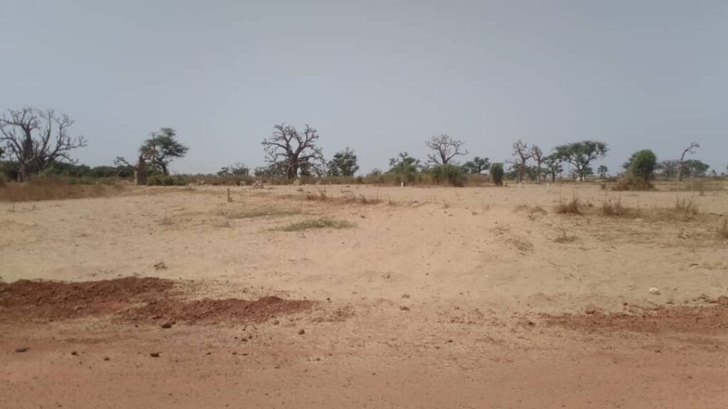 Terrain-300-Metres-Carre-A-Malicoundangouguoudj5