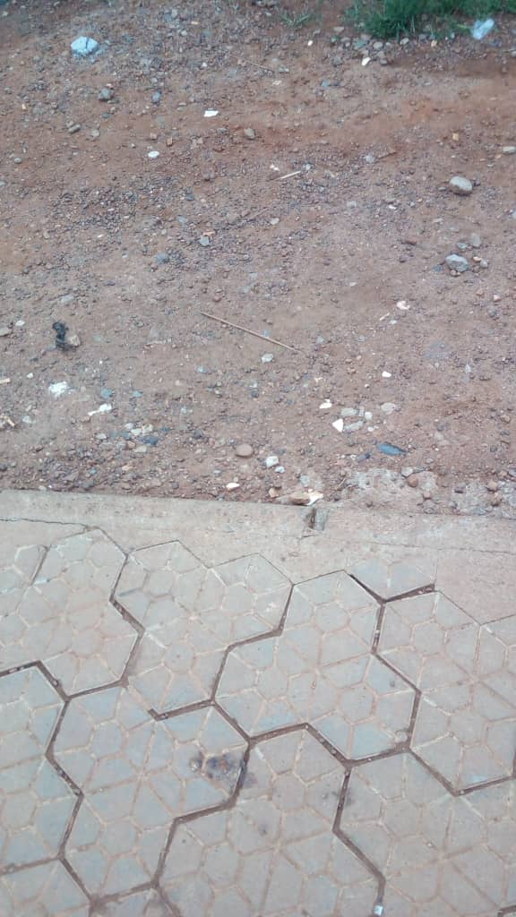 WhatsApp-Image-2021-04-17-at-18.01.32-1