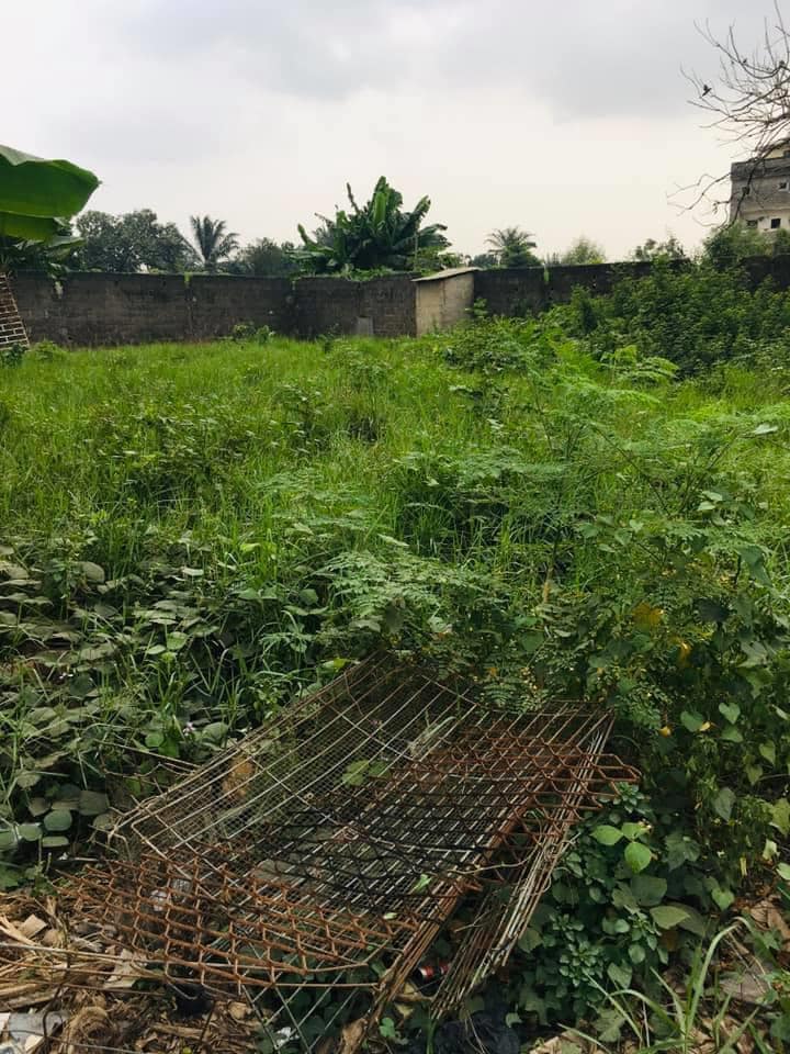 terrain-3600m2-angre4