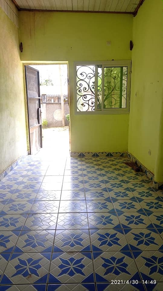 181785041_1636948036496676_6861692749636285116_n