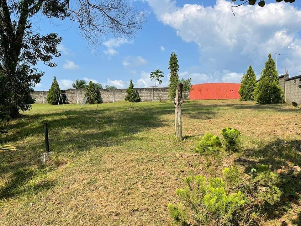 90574935-DCAB-47CB-8FEA-B5786B4A3336