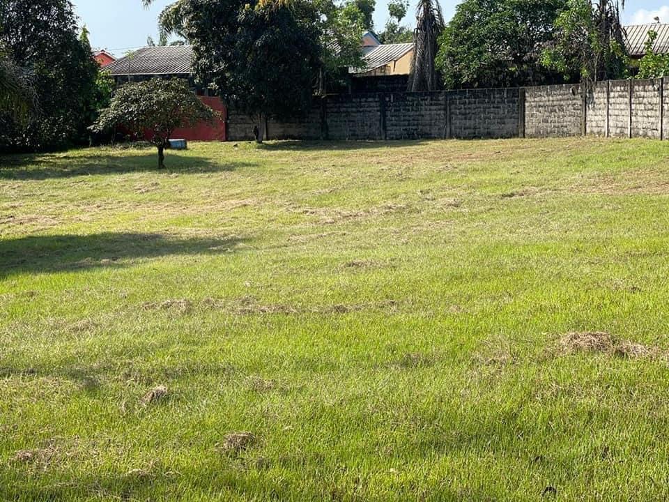 B0CBBA25-8DC2-4EFB-9060-BF542662A56D