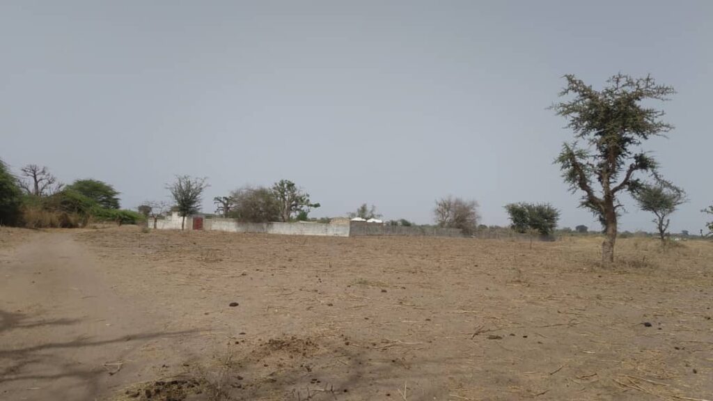 terrain-1-ha-a-Mbour-6