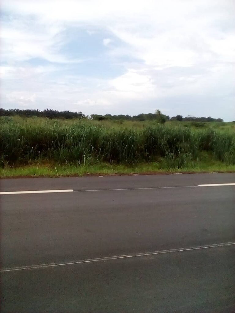 135cd0ee-0964-4fd4-9701-4a5be2c27200-1