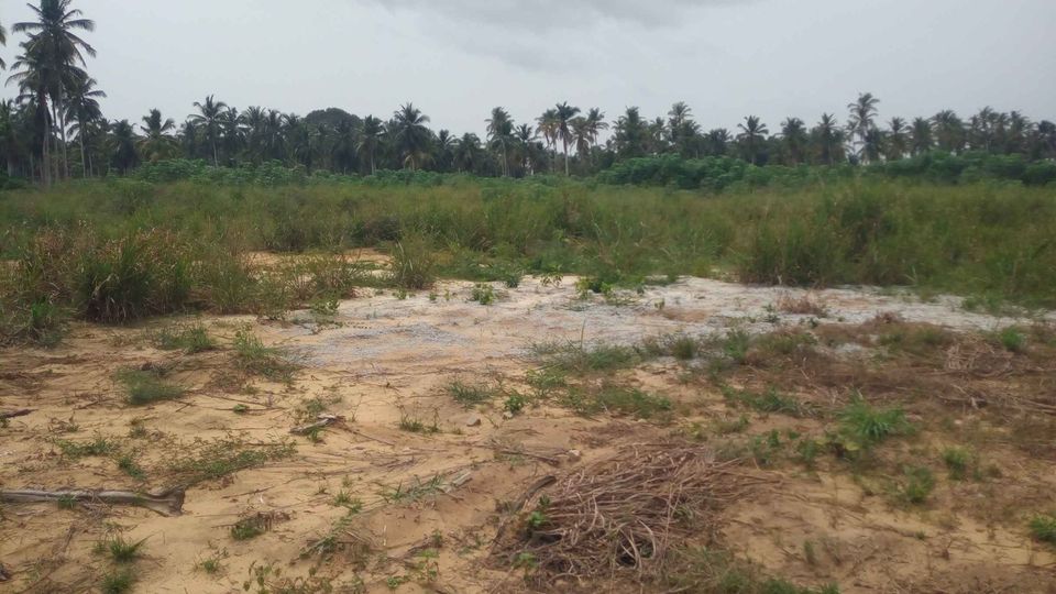 175567669_495508718141857_8413992959572956367_n