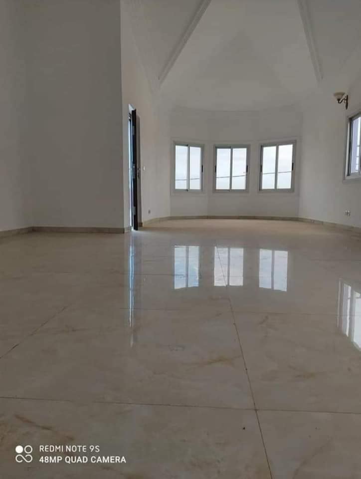 206255469_549841919387059_4219337538148856463_n