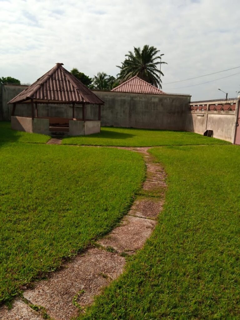 214102054_532265317924618_4046997495686816076_n