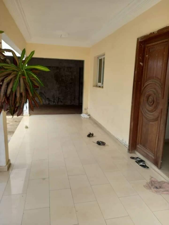 215382089_569465544187199_4059005806791649267_n