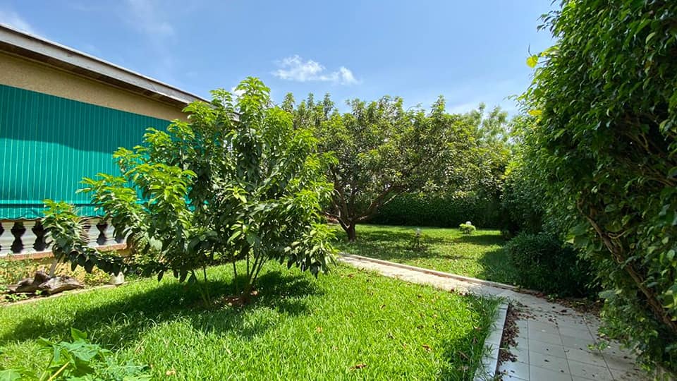 217512303_4897314810284227_4747619733222407826_n