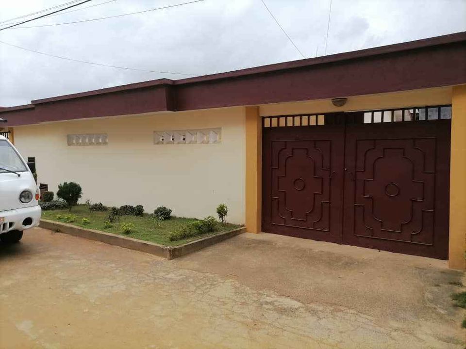 218697371_386924216259781_350518442696406980_n