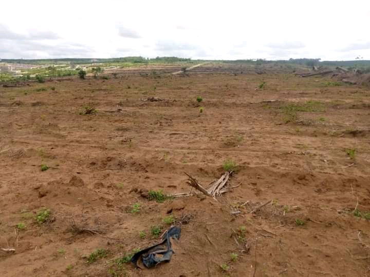 FB_IMG_16255625239992102