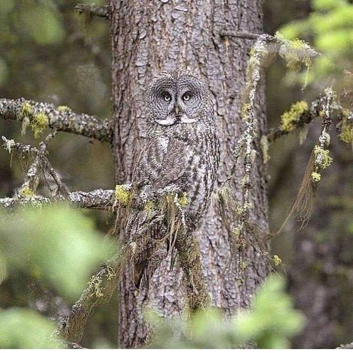 FB_IMG_16263593870070600