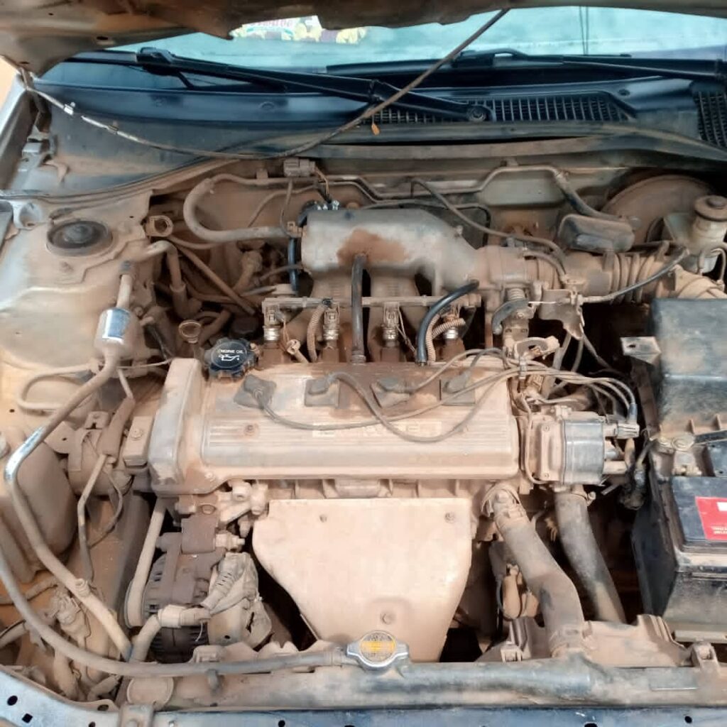 WhatsApp-Image-2021-07-12-at-00.26.56