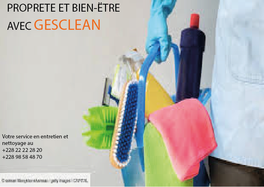 gesclean-3