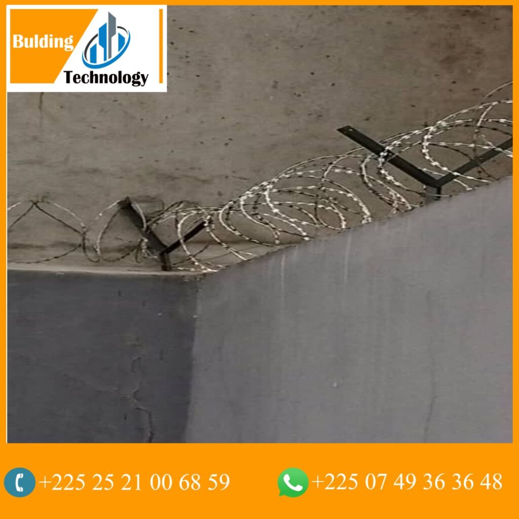 WhatsApp-Image-2021-08-16-at-22.50.45