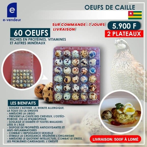 photo_2021-08-26_12-55-24