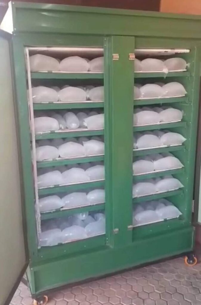 003d5c95-3ae6-4512-8df8-6110685a136d