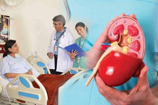 kidney-transplant-cost-top-hospitals-best-surgeons-india