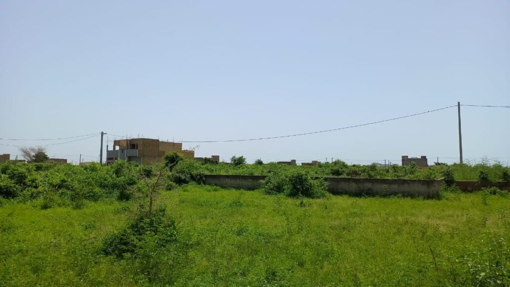 Terrain-de-700-metres-carres-deliberation-a-Mmalicounda-Extension2-1