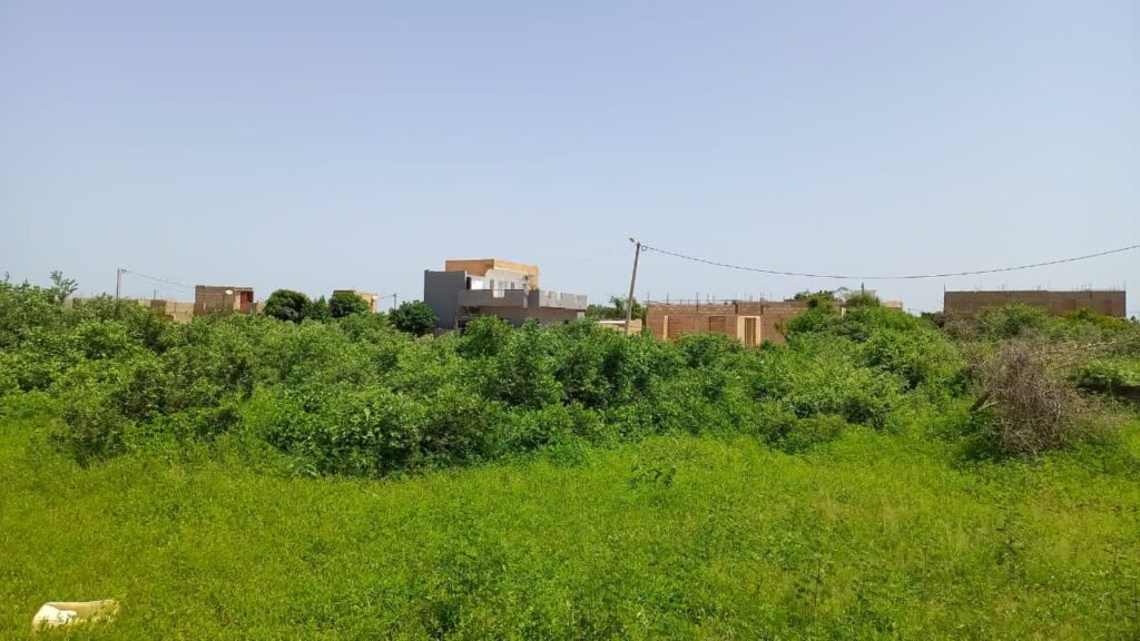 Terrain-de-700-metres-carres-deliberation-a-Mmalicounda-Extension2-2