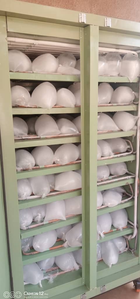 ca37568a-63f7-49c4-89cc-62681faababe