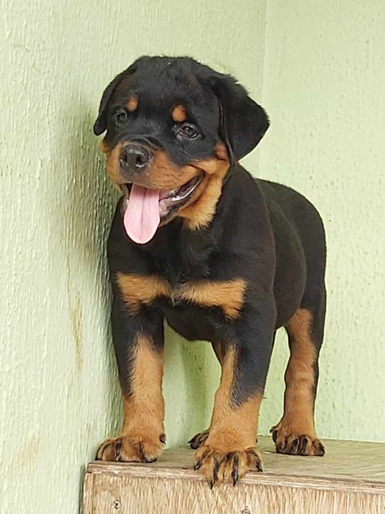 3353BDC2-496B-43FB-96BF-16943C21B726