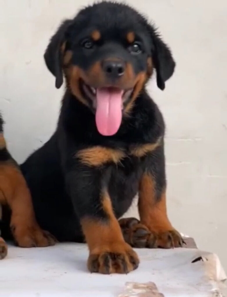 5BF01CB3-5A57-4C45-A02A-2B5735086E5E