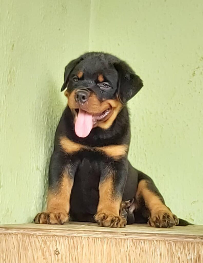 DB804C88-6254-4E4E-BB1F-98D6E1006D42